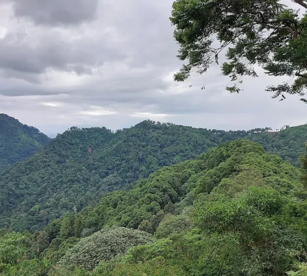 Bukit Daolong Sentul 5
