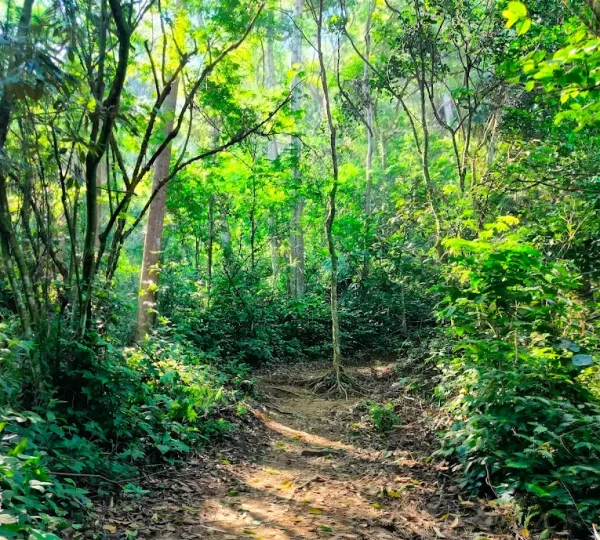 Bukit Daolong Sentul