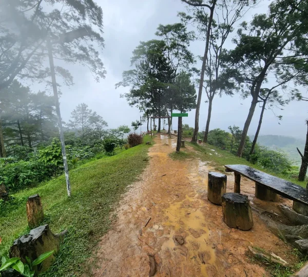 Bukit Daolong Sentul 8